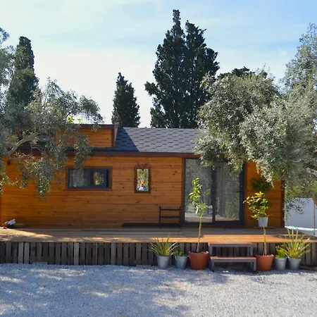 Yueksel Tiny House 博德鲁姆